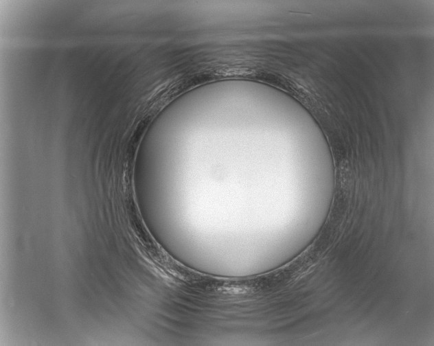 X0000061140741200511181006