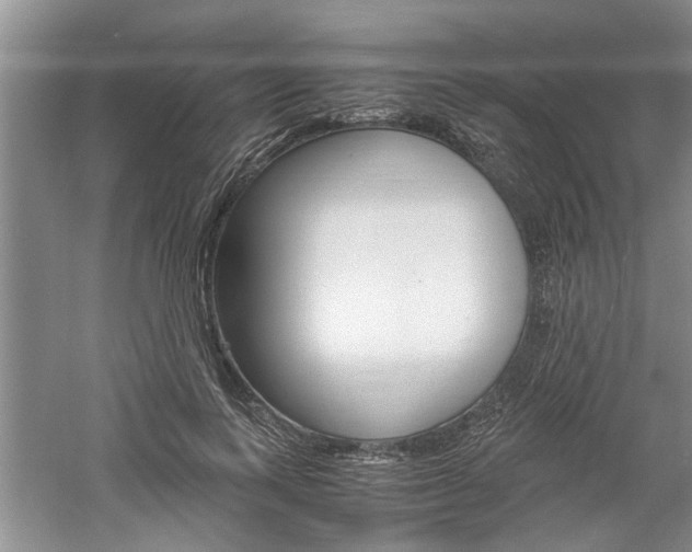 X0000061140743200511181006