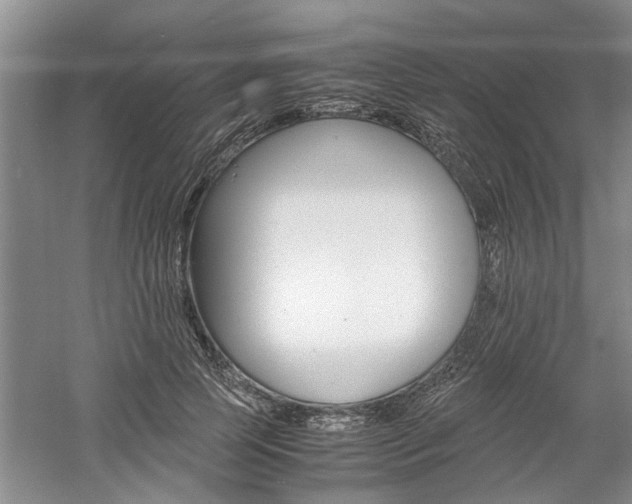 X0000061140745200511181006
