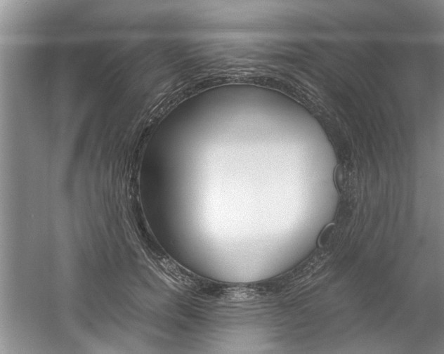 X0000061140750200511181006