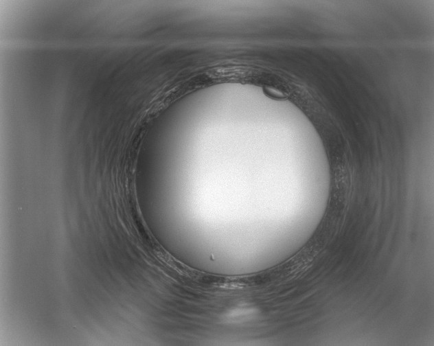 X0000061140751200511181006