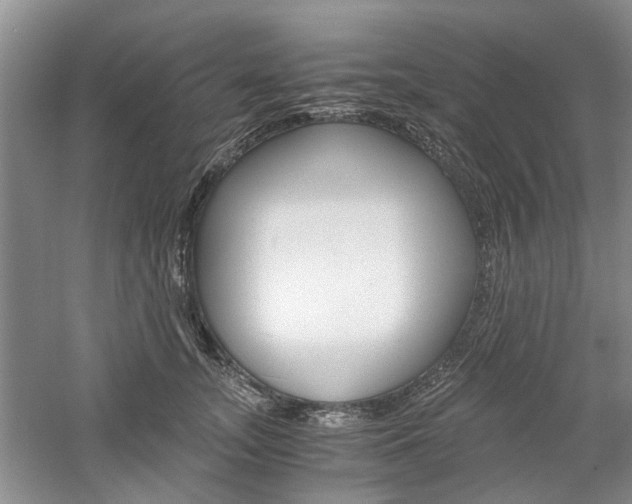 X0000061140755200511181006