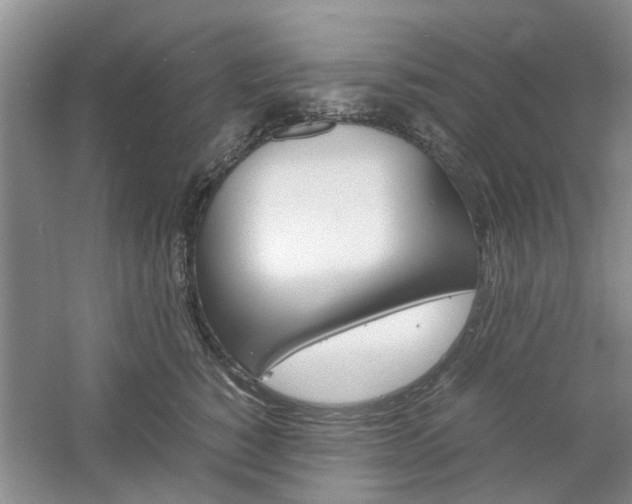X0000061140760200511181006