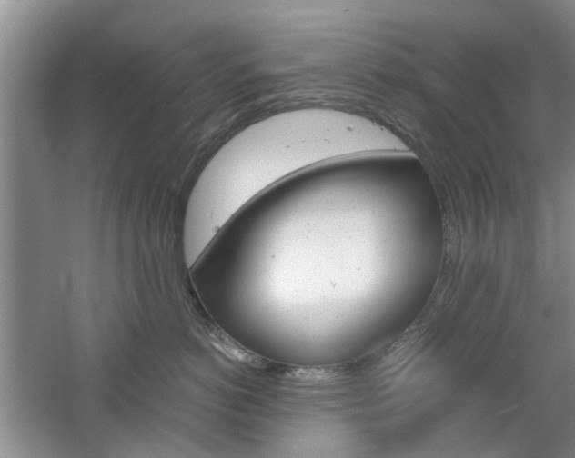 X0000061140766200511181006