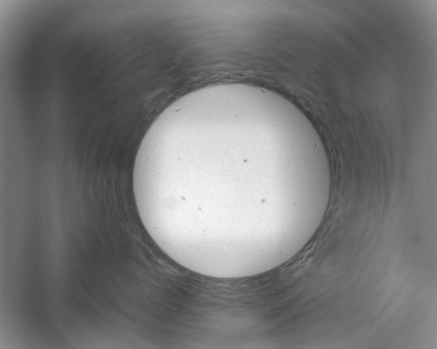 X0000061140768200511181006