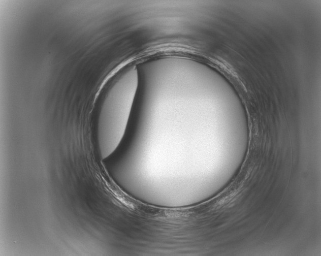 X0000061140782200511181005