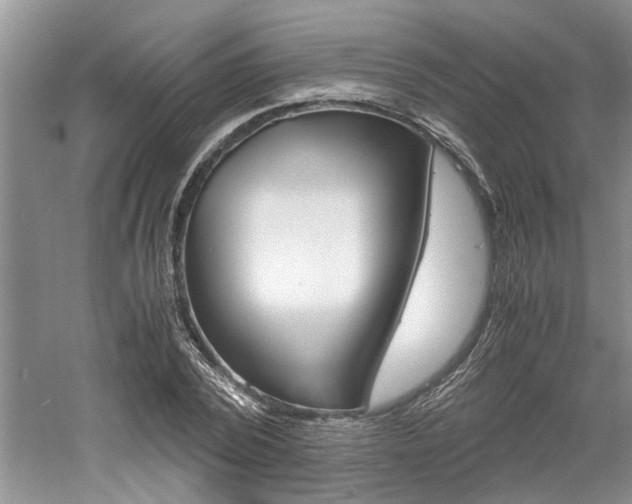 X0000061140784200511181005