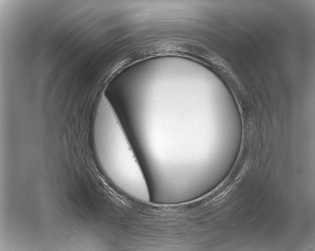 X0000061140785200511181005