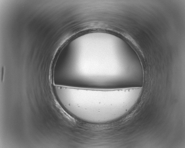 X0000061140791200511181005