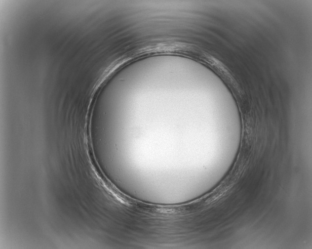 X0000061140794200511181005