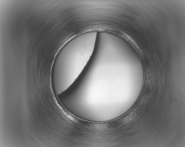 X0000061140802200511181005