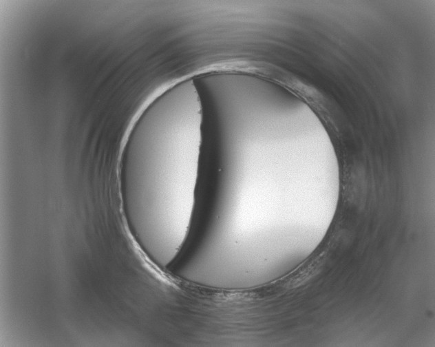 X0000061140808200511181005