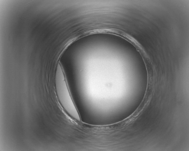 X0000061140809200511181005
