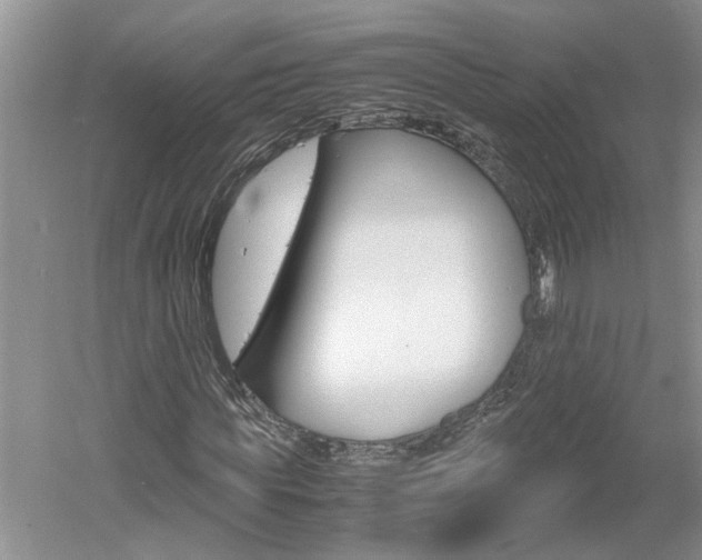 X0000061140819200511181003