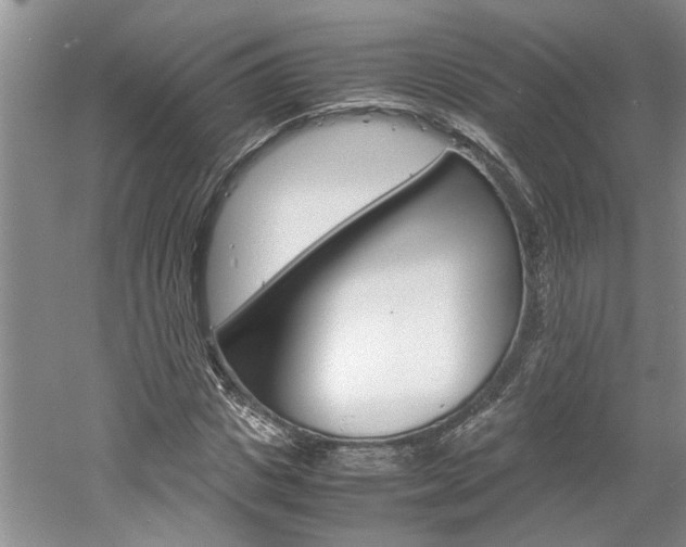 X0000061140825200511181004