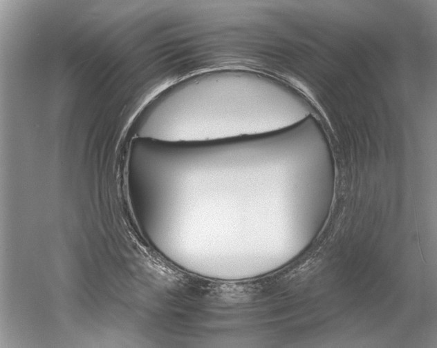 X0000061140827200511181004