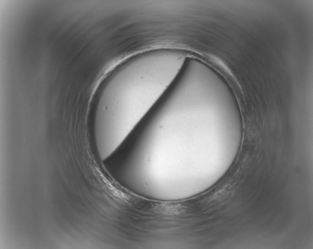X0000061140831200511181004