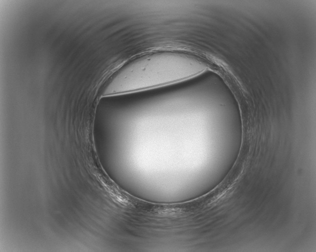 X0000061140833200511181004