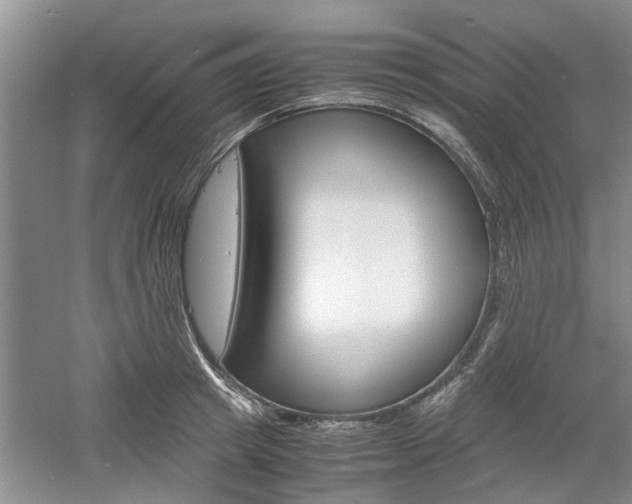 X0000061140849200511181004