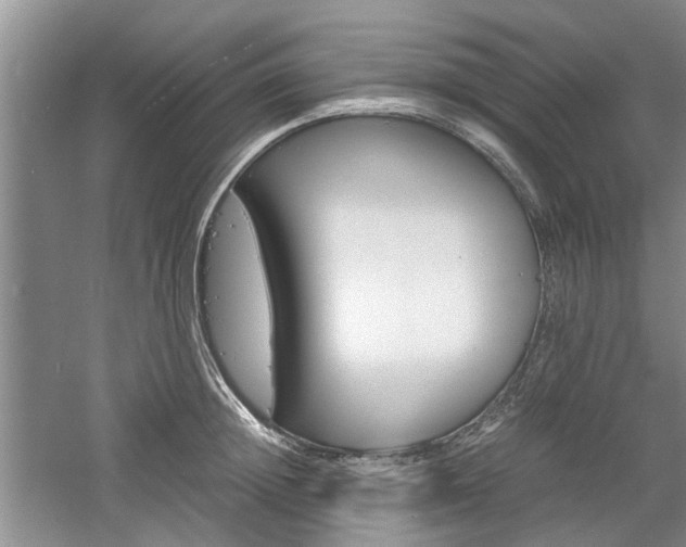 X0000061140852200511181004