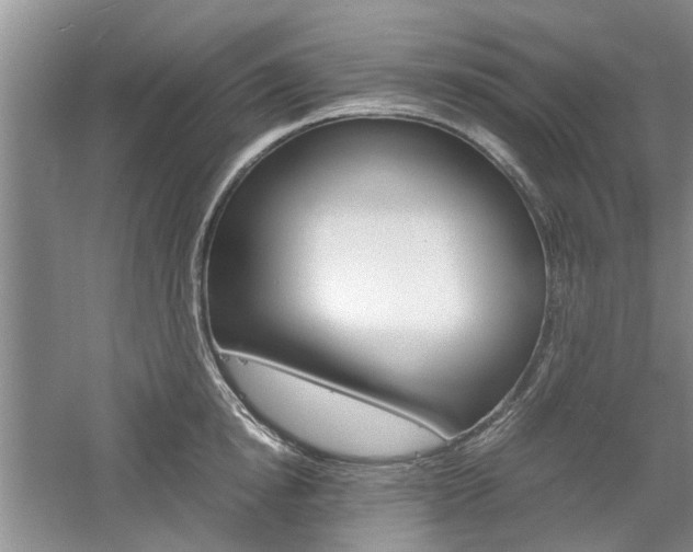 X0000061140854200511181004