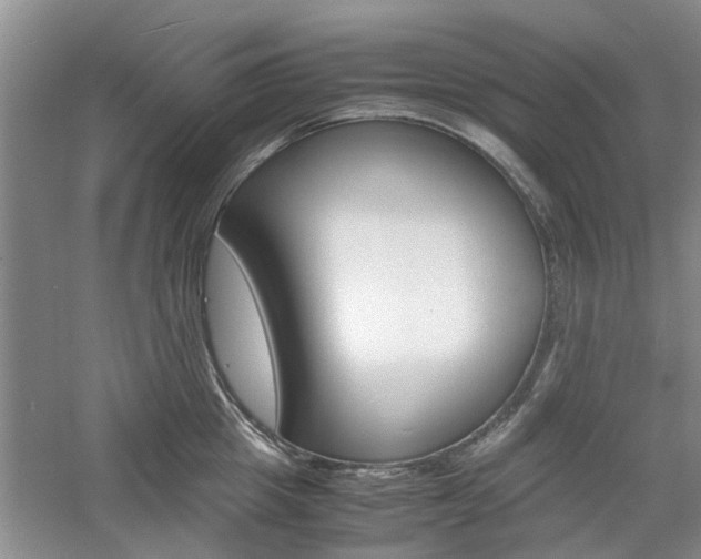 X0000061140857200511181004