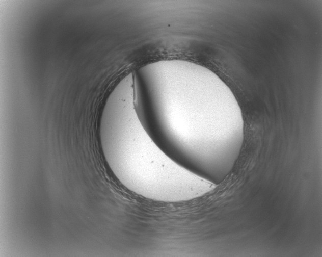 X0000061140865200511181003