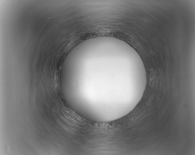 X0000061140866200511181003