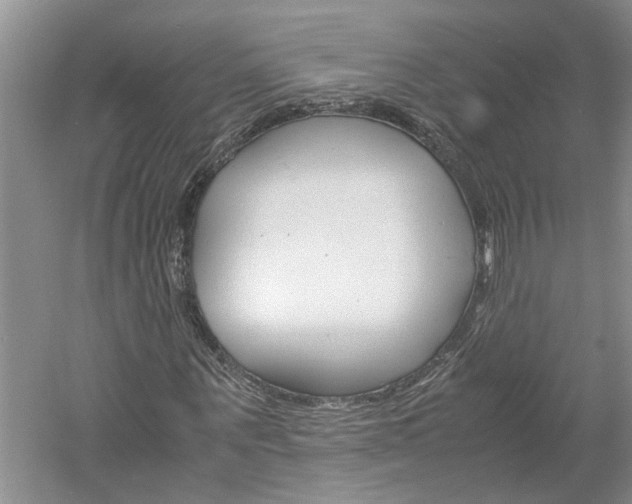 X0000061140867200511181003