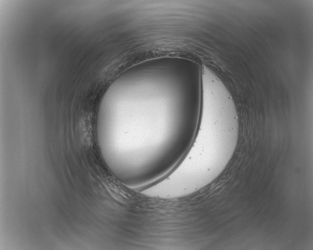 X0000061140868200511181003