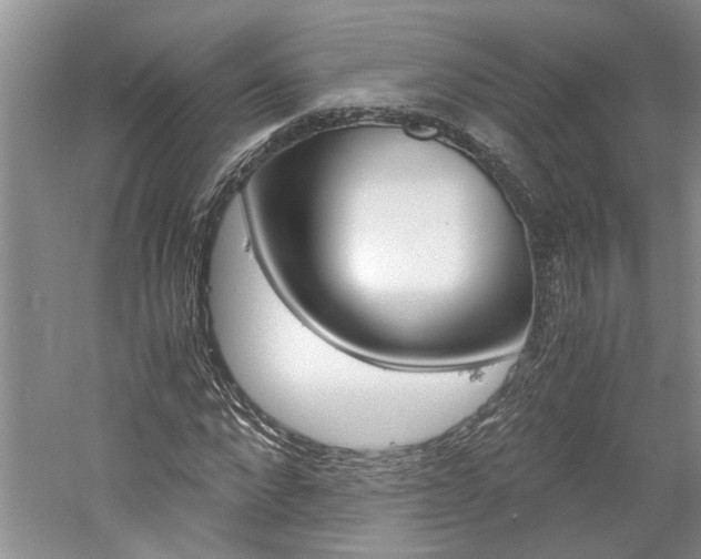 X0000061140872200511181003