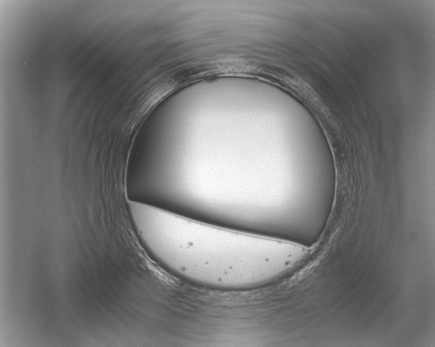 X0000061140889200511181003