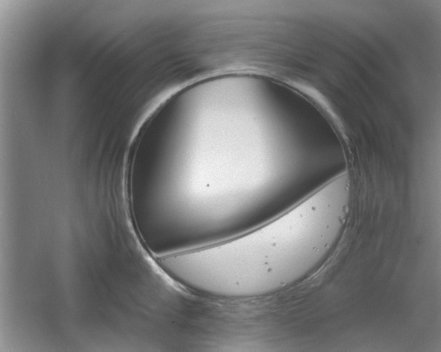 X0000061140910200511181003