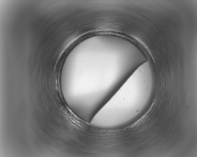 X0000061140925200511181002