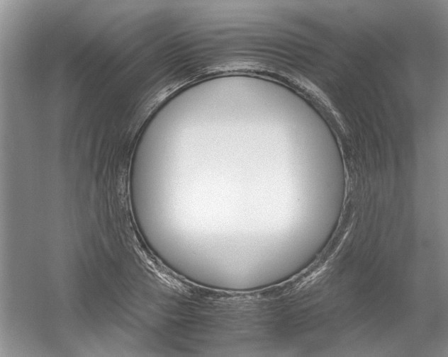 X0000061140937200511181002
