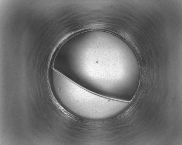 X0000061140939200511181002