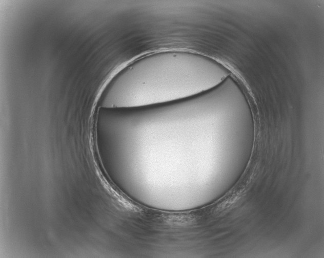 X0000061140941200511181002