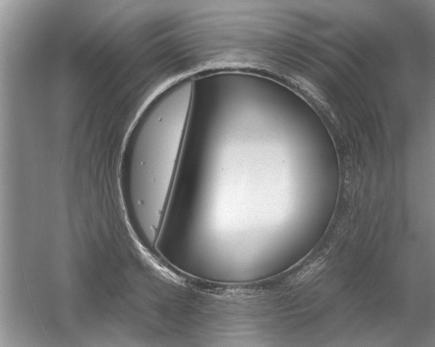 X0000061140942200511181002