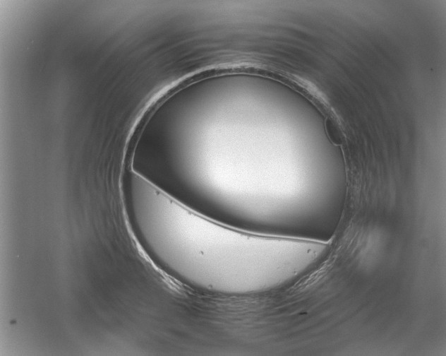 X0000061140943200511181002