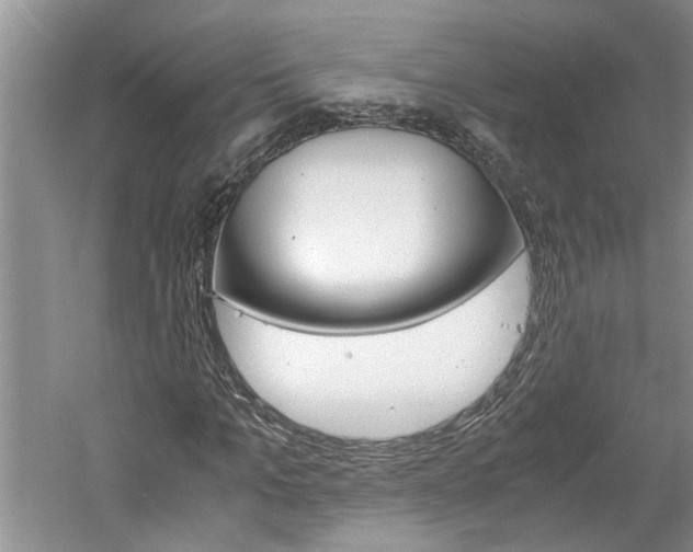 X0000061140965200511181002
