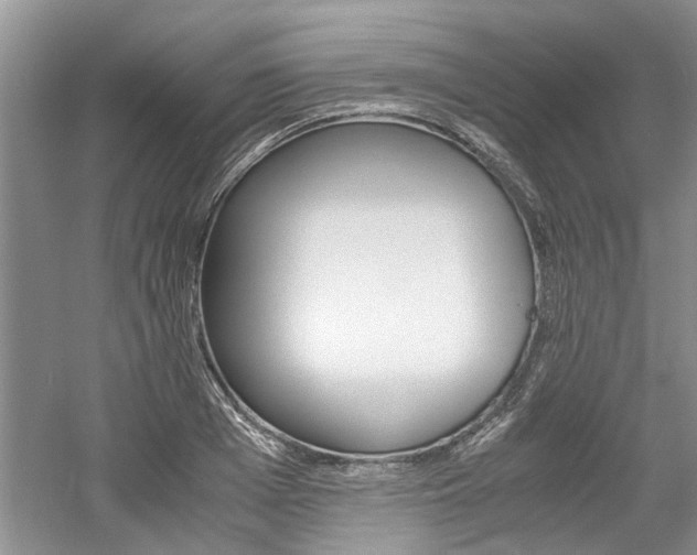 X0000061140985200511181001