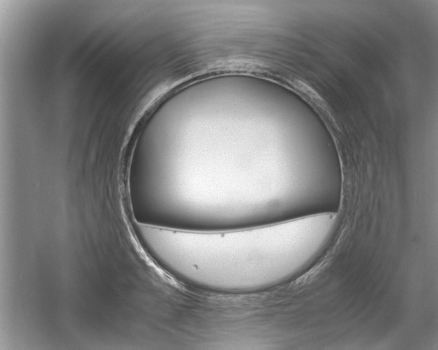 X0000061140989200511181001