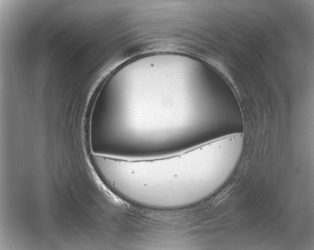X0000061140995200511181001