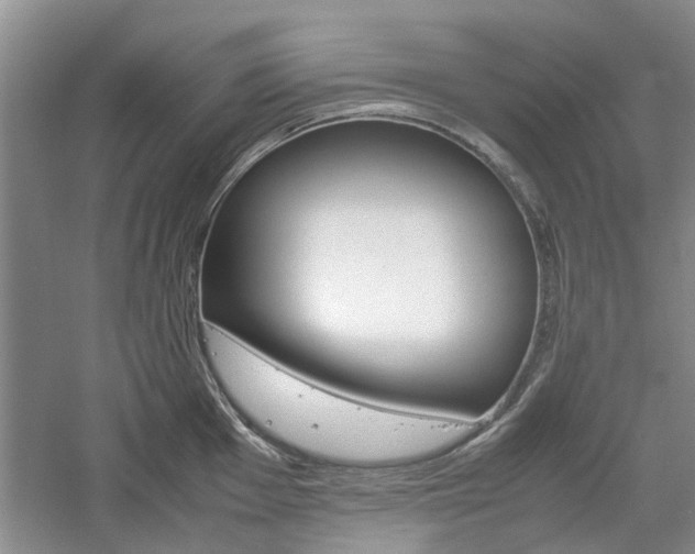 X0000061141001200511181001