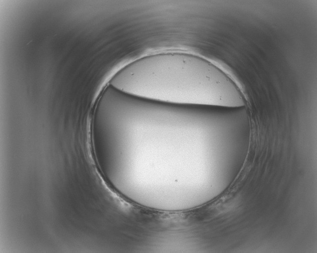 X0000061141006200511181001
