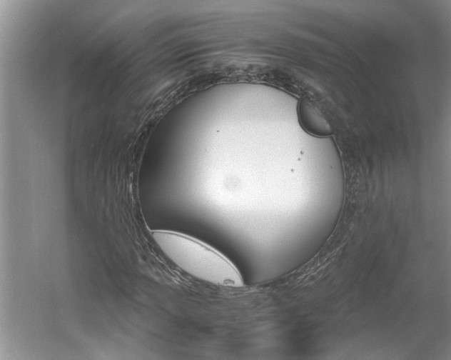 X0000061141013200511181000