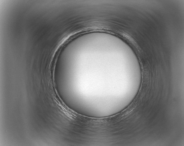 X0000061141023200511181000