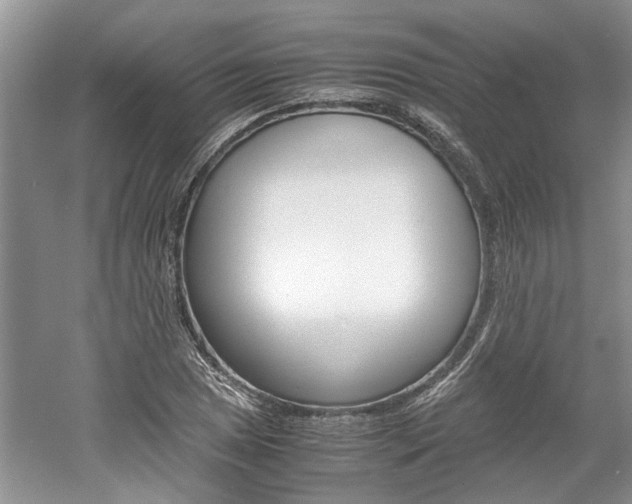 X0000061141025200511181000