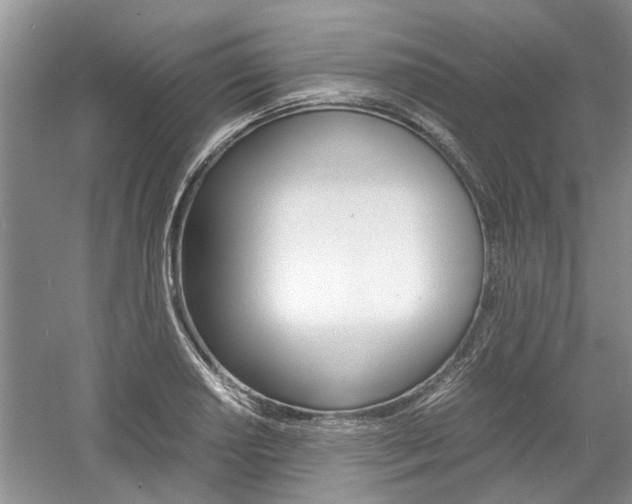 X0000061141034200511181001