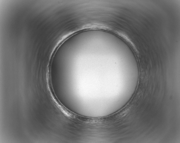 X0000061141040200511181001